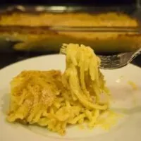 Spaghetti Mac on fork.