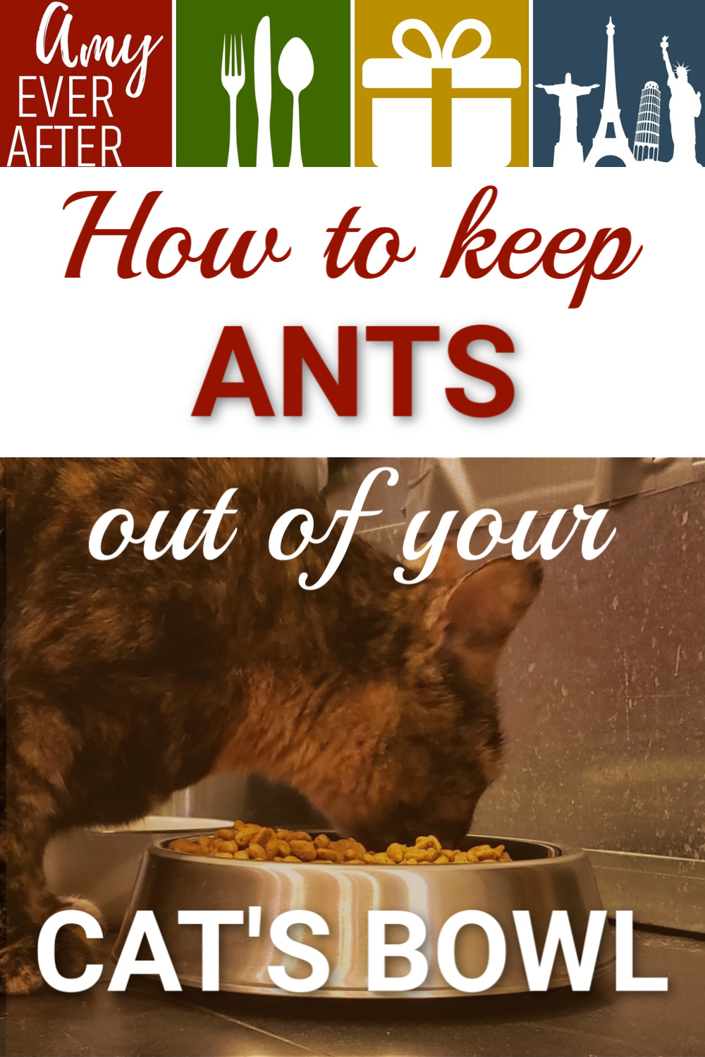 How to keep ants out of pet food without water moats or petroleum jelly
