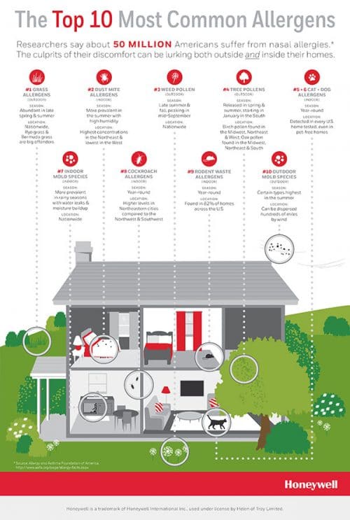 What are seasonal allergies, and how can you get rid of them? - Amy ...