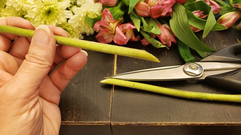 A hand holding the stem of a flower cut on a diagonal.