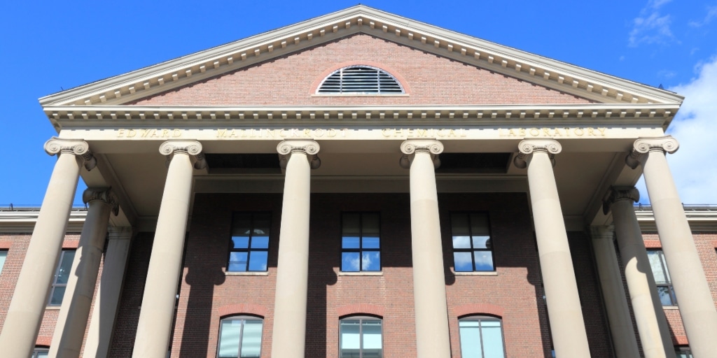 What inspired you to pursue beauty as a career essay picture