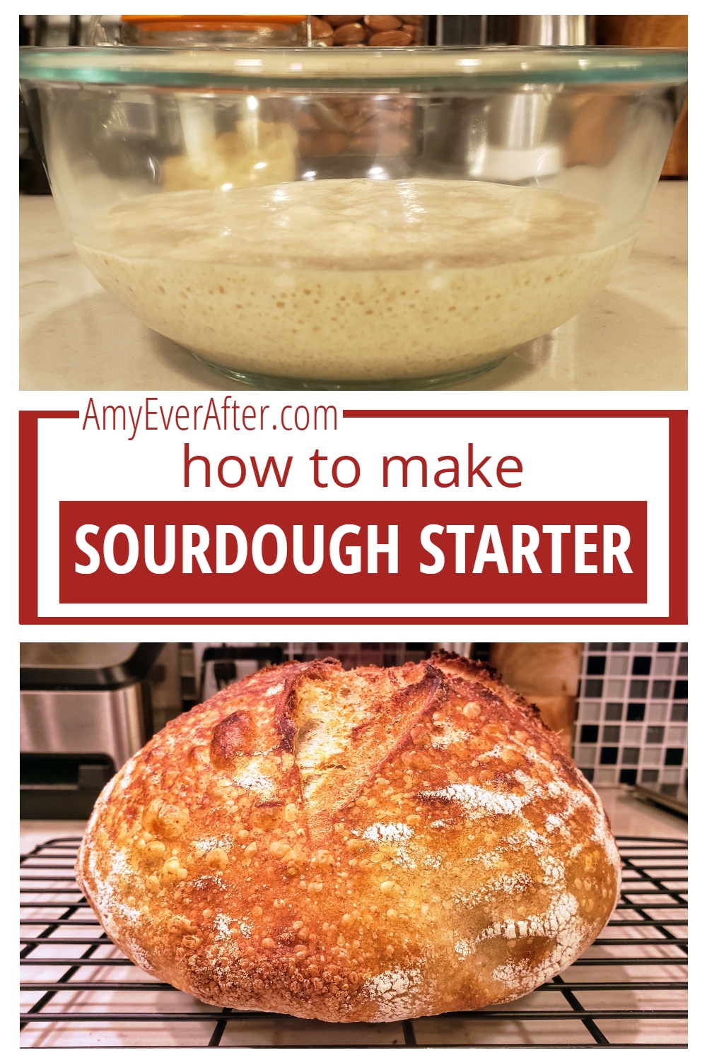 How to make sourdough starter with just 2 ingredients!