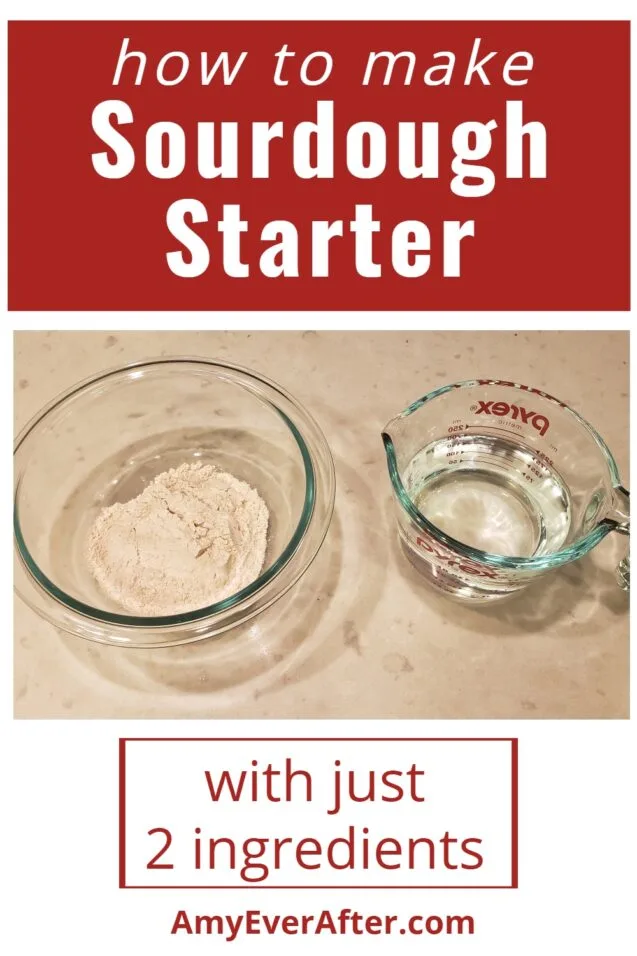 How to make sourdough starter with just 2 ingredients! %%page%%