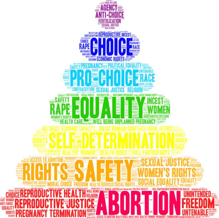 A rainbow-colored pyramid containing word clouds relating to equity, choice, and social justice.