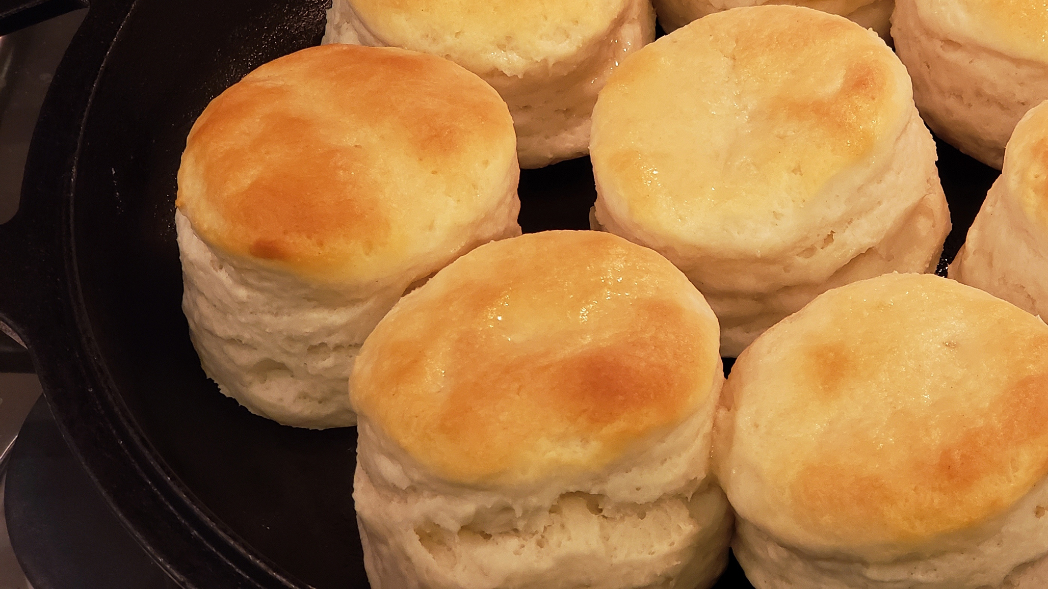 Beautiful, fluffy biscuits in a cast-iron pan.
