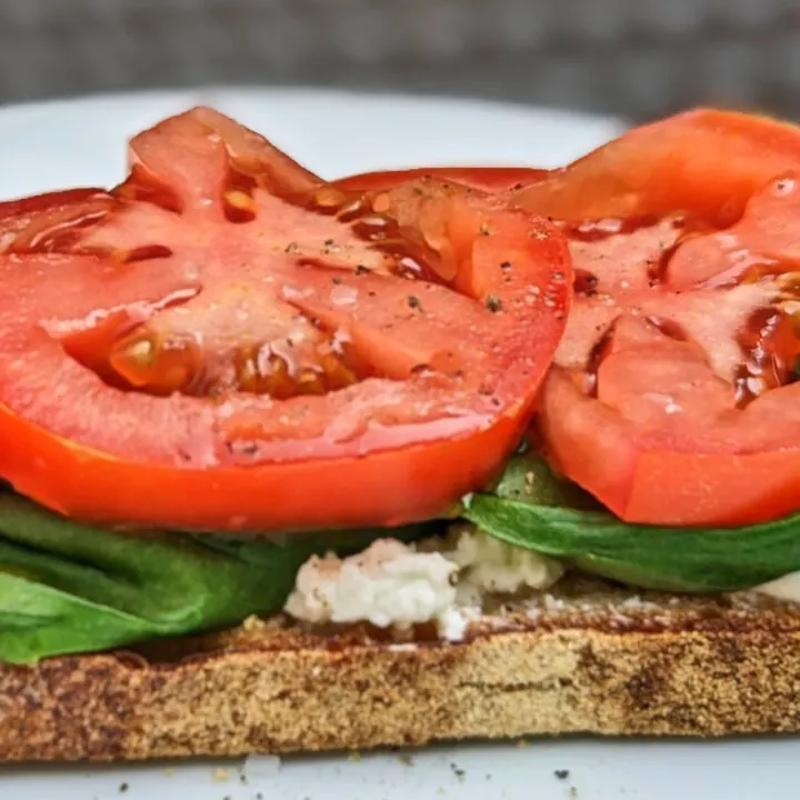 Open-faced caprese toast with fresh mozzarella cheese, fresh basil, and sliced tomatoes.
